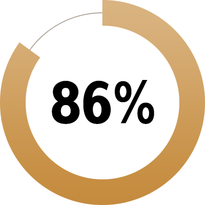 Pie chart showing 86 percent