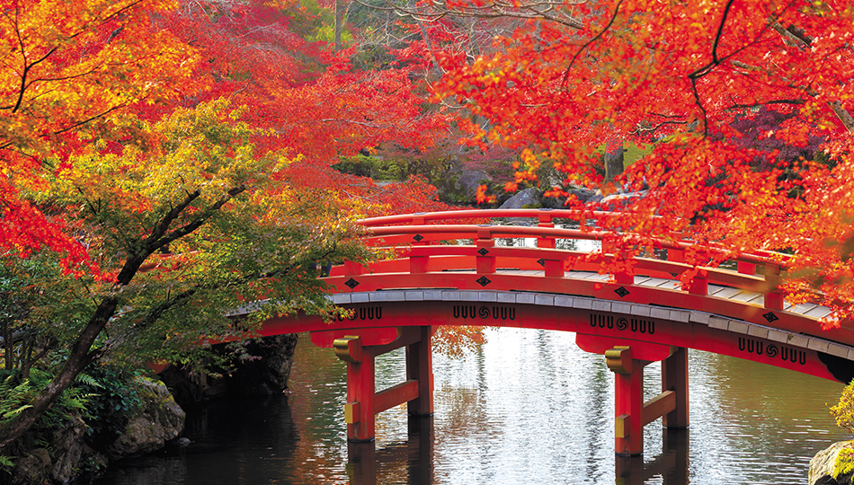 Kyoto Bridge Garden