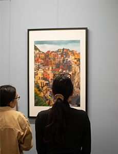 a person viewing art