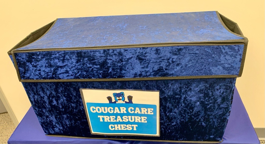 cougar_care_treasure_chest
