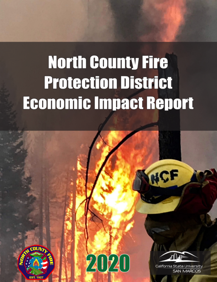 NCFPD report thumbail